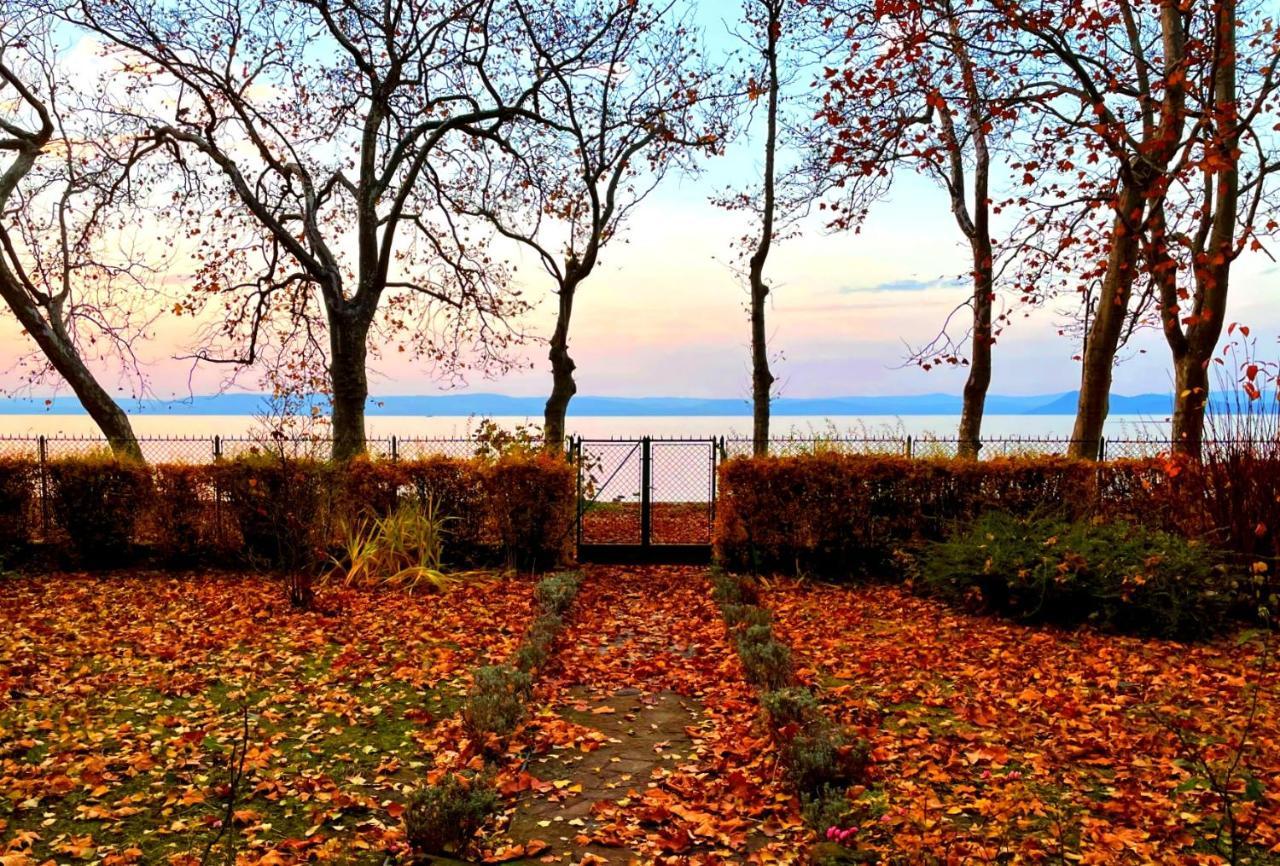 Party Villa Holiday Rent Balatonfoldvar Exterior foto
