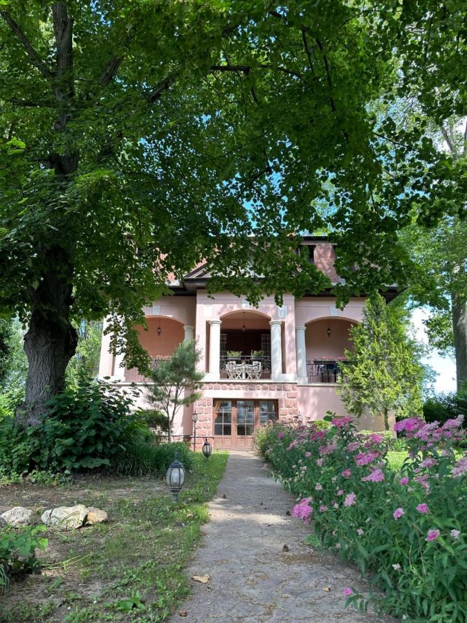 Party Villa Holiday Rent Balatonfoldvar Exterior foto