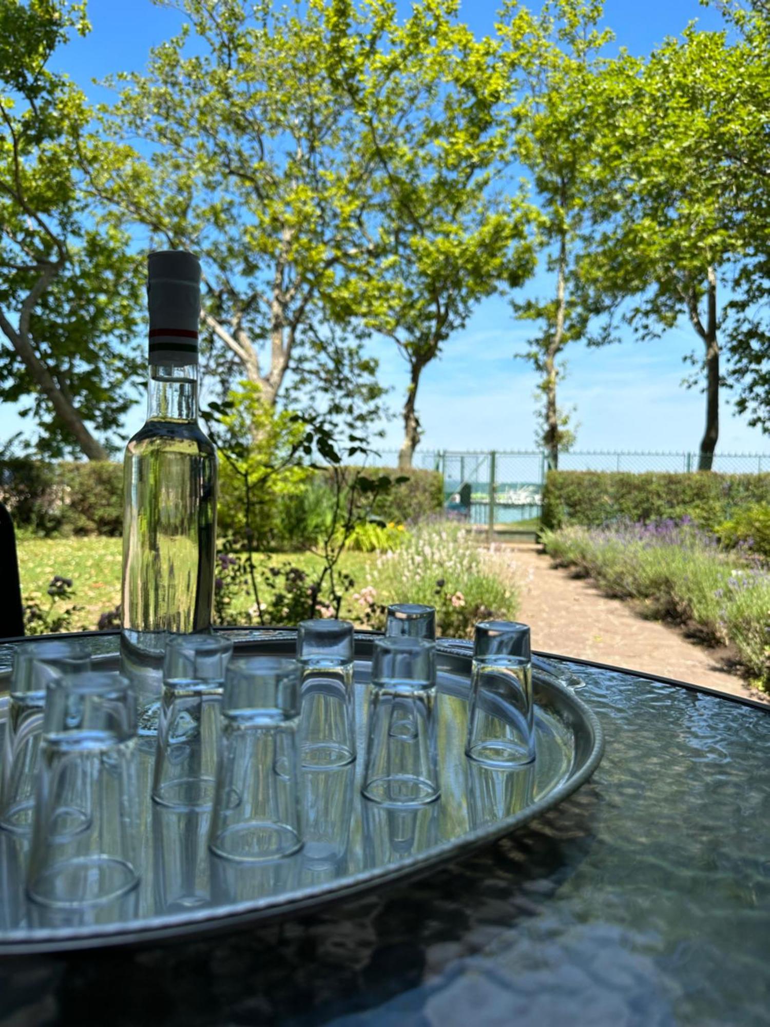 Party Villa Holiday Rent Balatonfoldvar Exterior foto